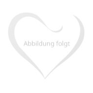 Analvibe mit Hodenstimulation