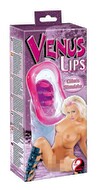 Venus Lips