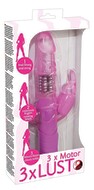 Vibrator „3 x Motor 3 x Lust“