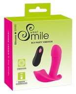 Remote Controlled Panty Vibrator