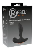 RC Prostate Plug with 2 Functions