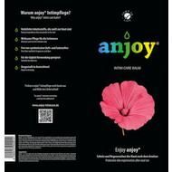 Flyer anjoy