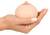 Stress Ball Breast