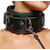 Leather Collar/Leash