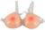 Silicone Breasts with Straps