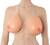 Silicone Breasts with Straps