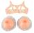 Silicone Breasts with Bra