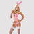 Bunny suit 4-pcs costume