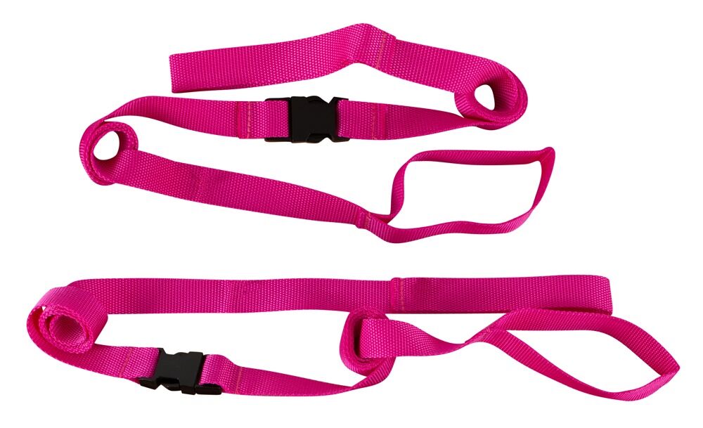 Pink Passion Bondage Kit