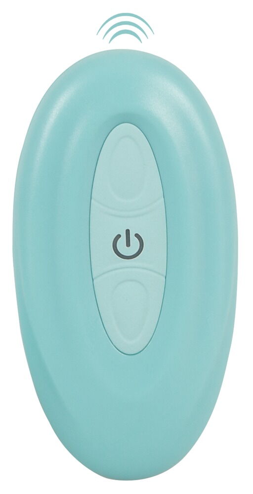 RC Panty Vibrator