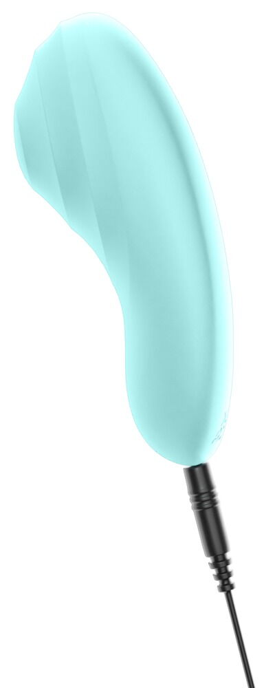 RC Panty Vibrator