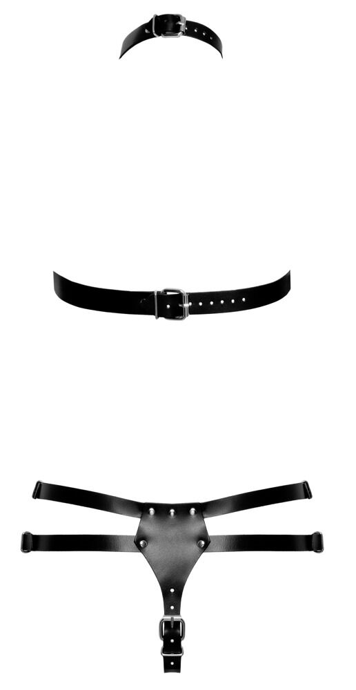 Leather Harness Set