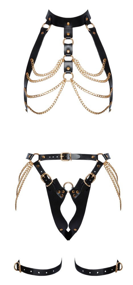 Harness-Set