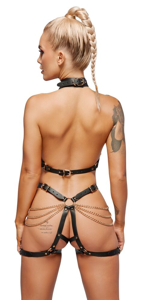 Harness-Set