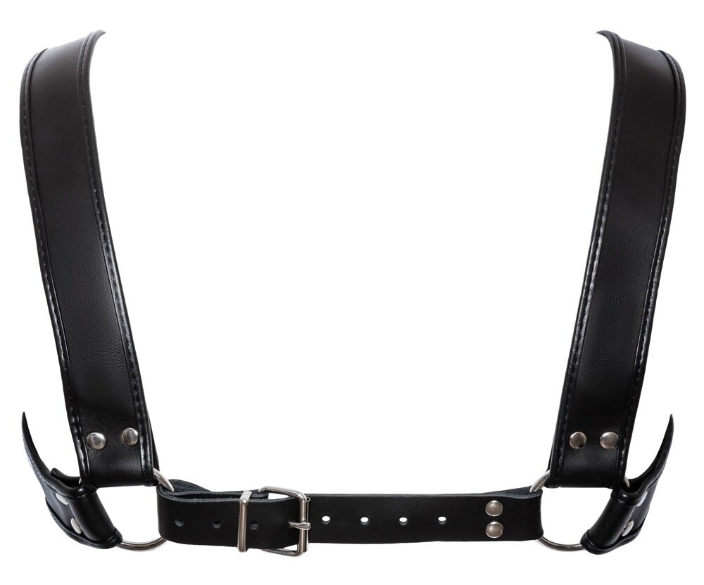 Harness