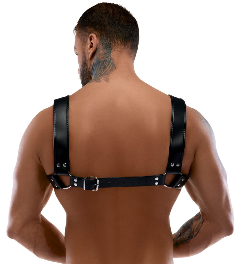 Harness