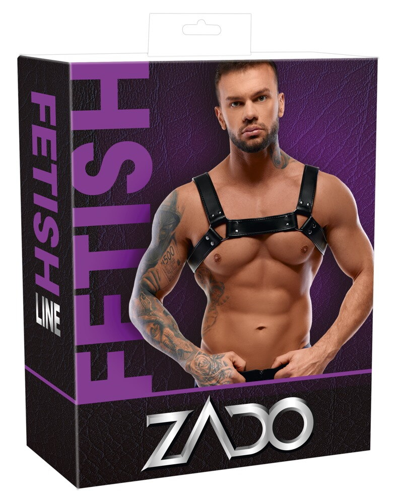 Harness