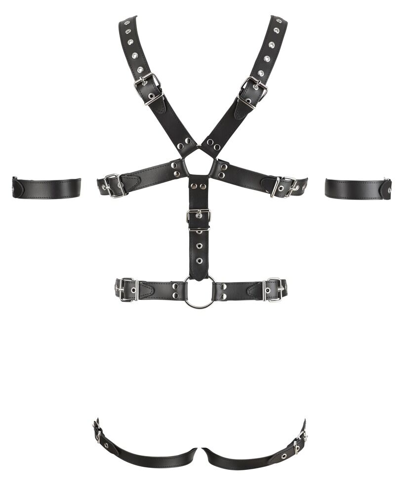 Harness