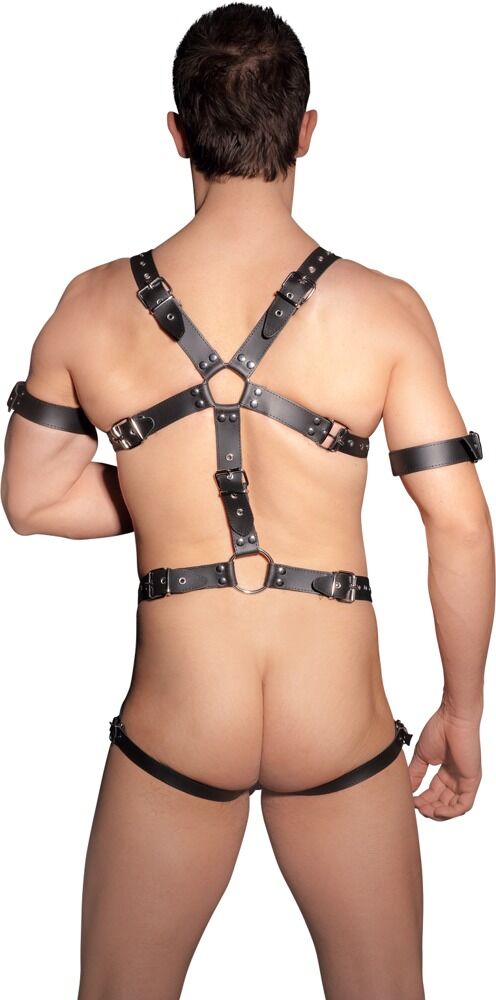 Harness