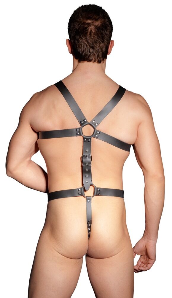 Harness