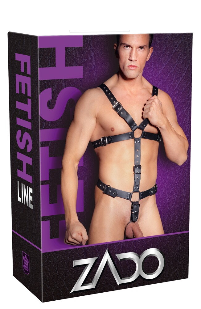 Harness