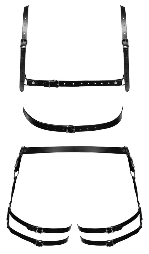 Leather Harness Set