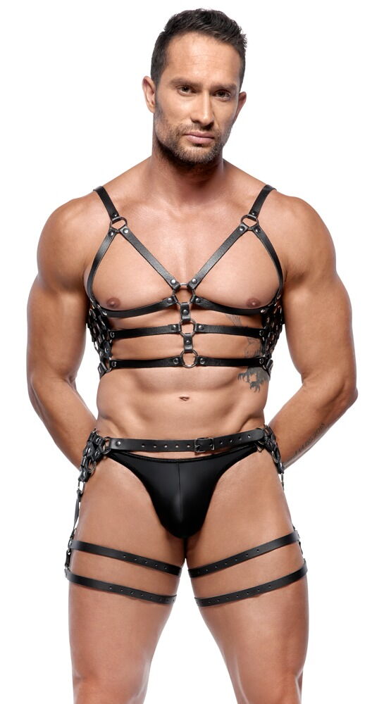 Leather Harness Set