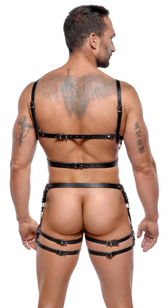 Leather Harness Set