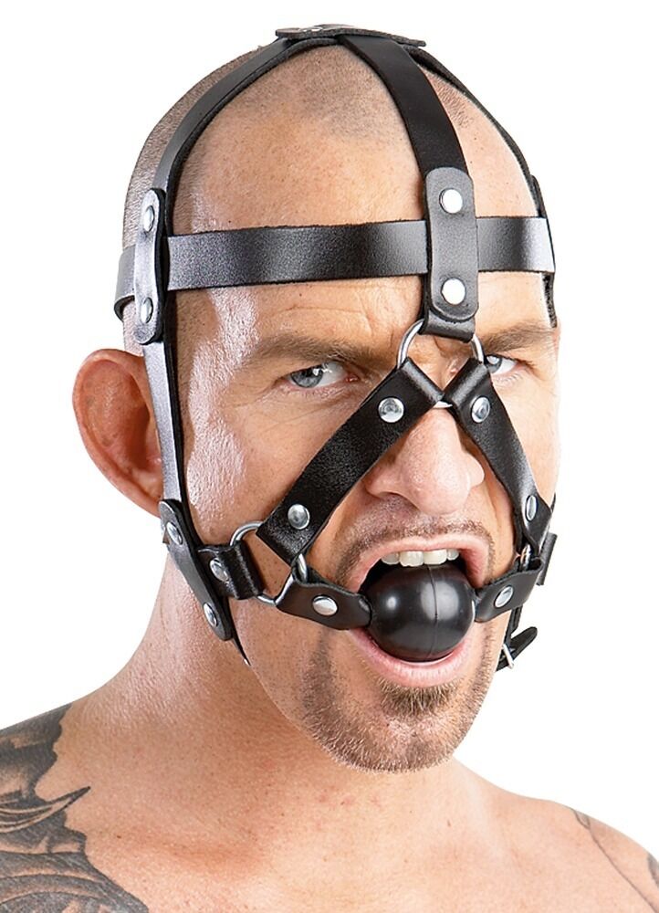 Leather Head Harness