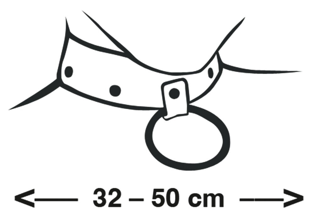 Bondage Collar