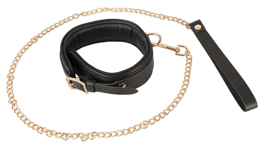 Leather Collar and Leash