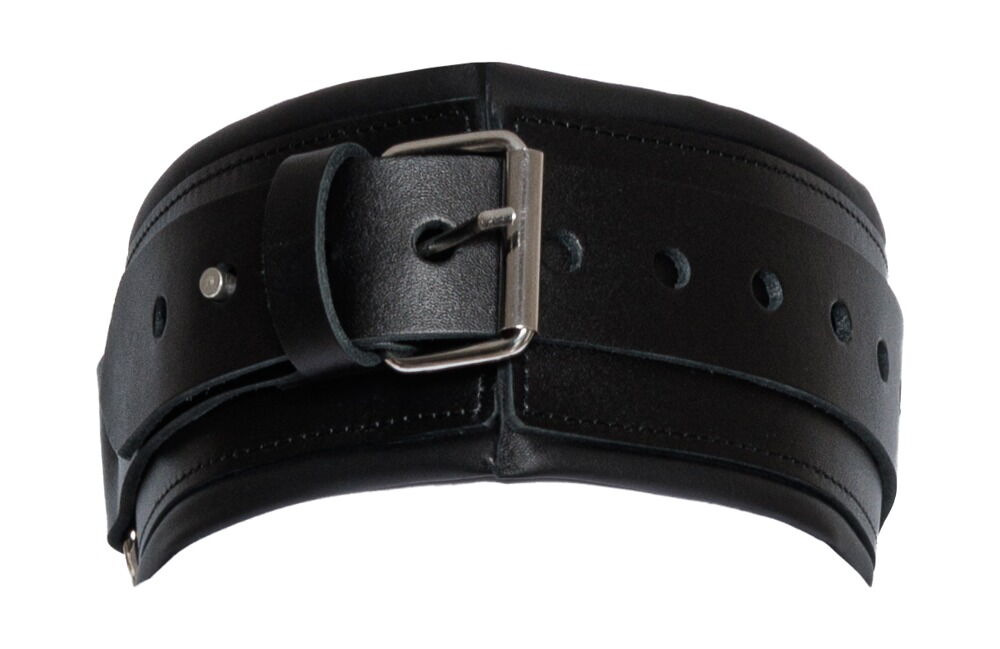 Leather Collar/Leash