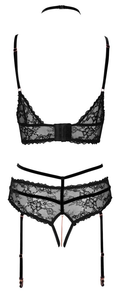 Bra plus Suspender Briefs