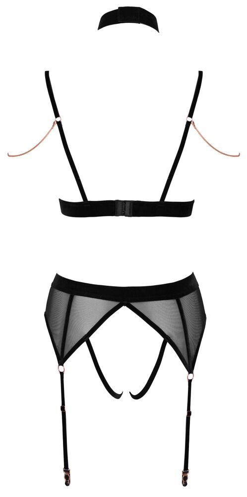 Bra and Suspender Briefs