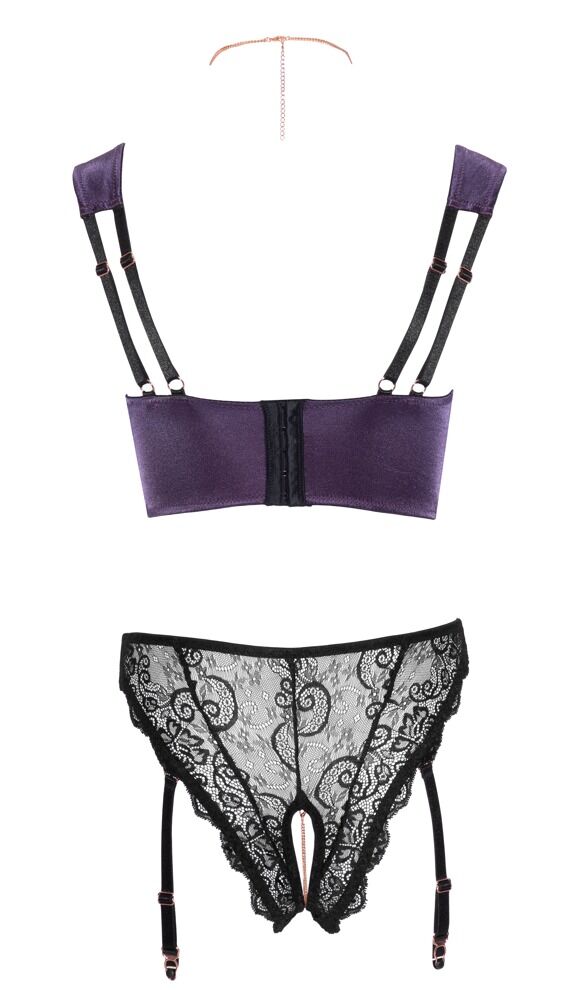 Shelf Bra and Crotchless Suspender Briefs