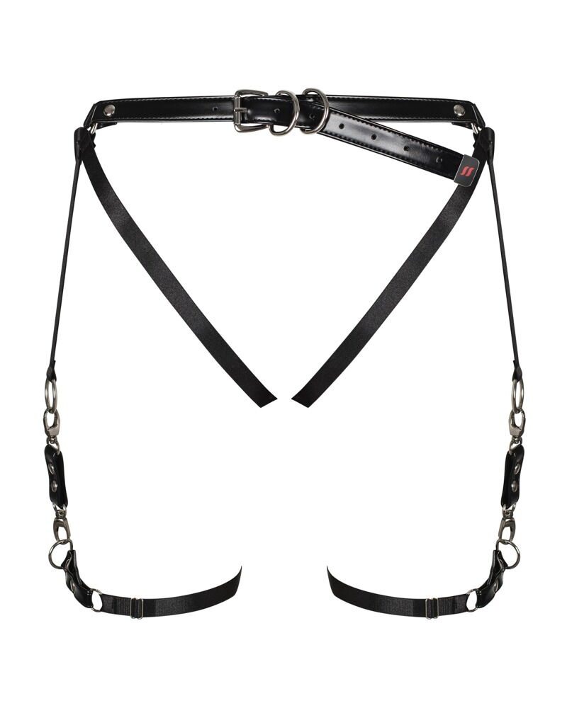 Harness