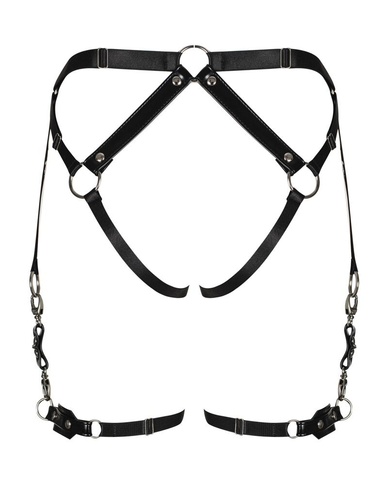 Harness