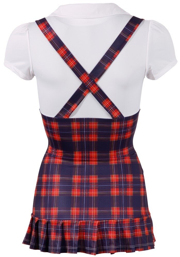 Schoolgirl Costume