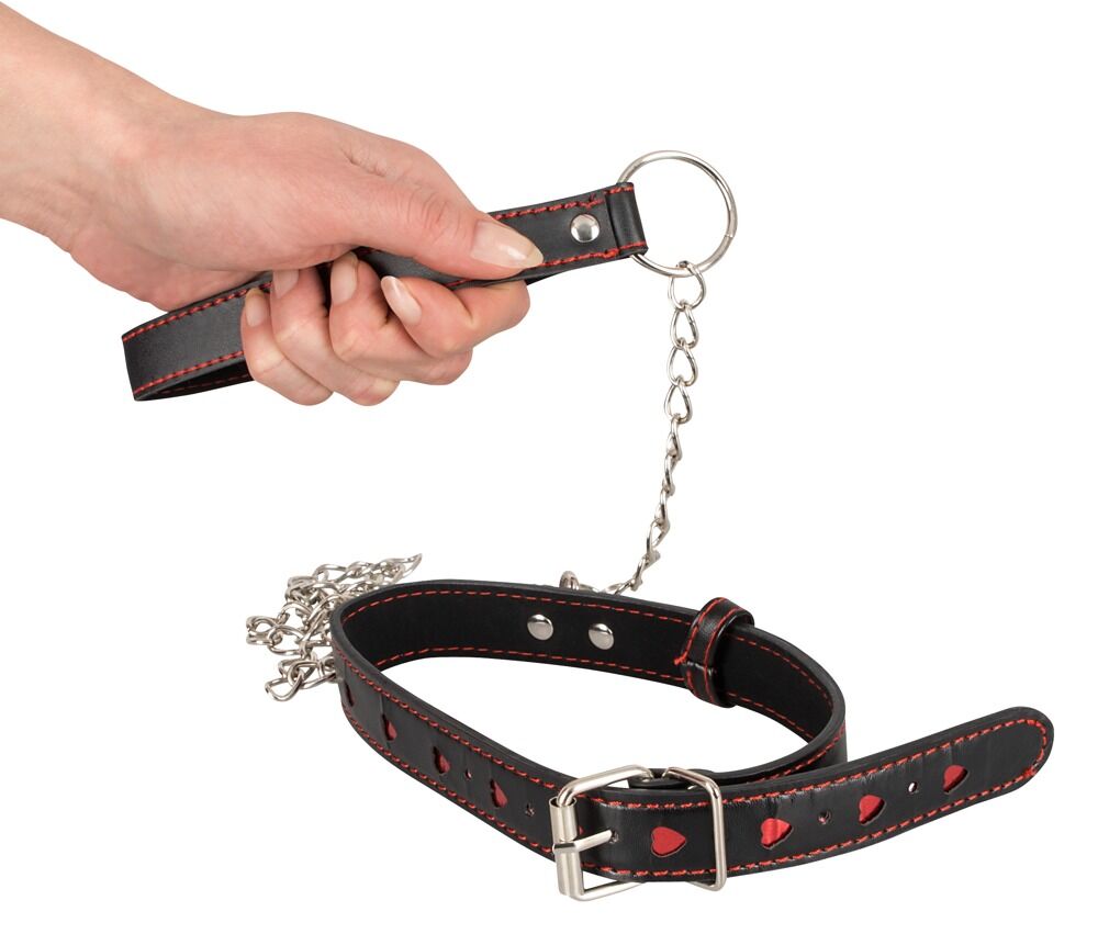 Collar and Leash