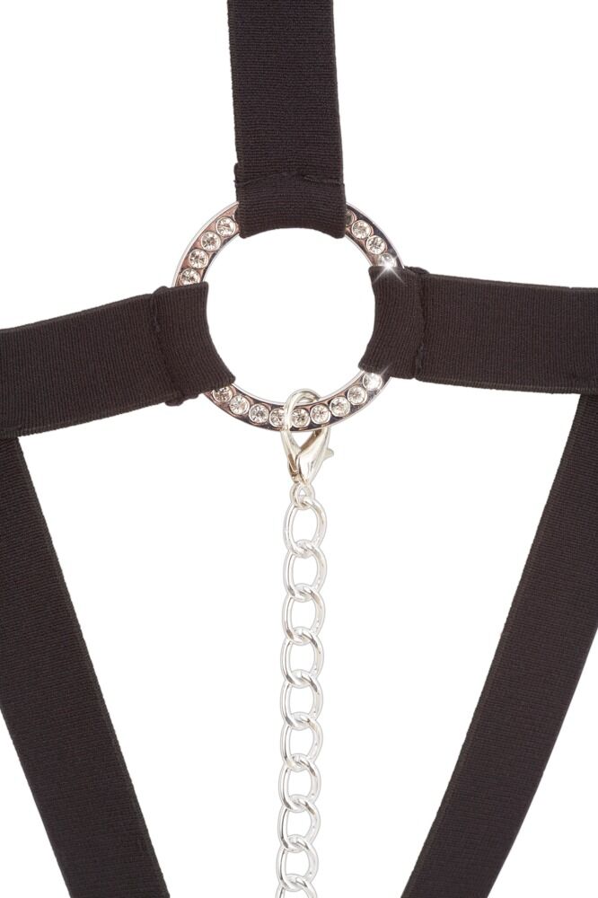 Harness