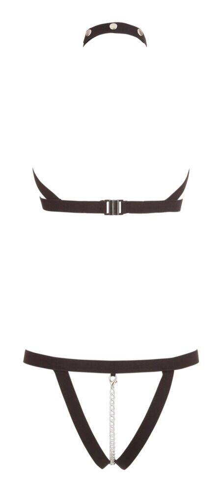 Harness