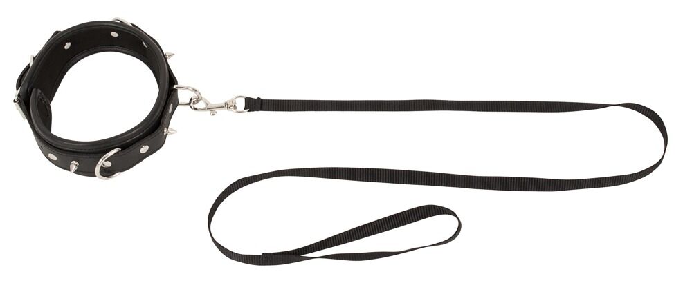 Collar with leash