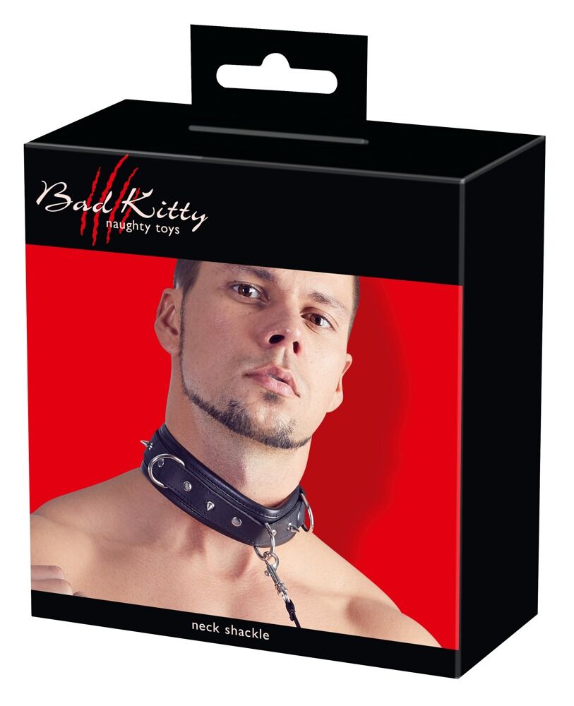 Collar with leash