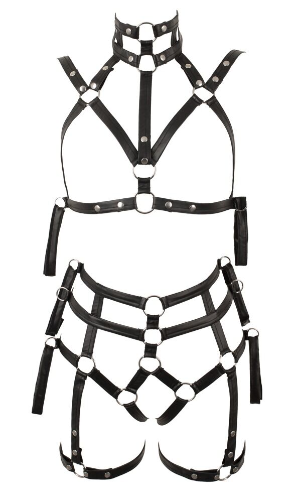 Harness