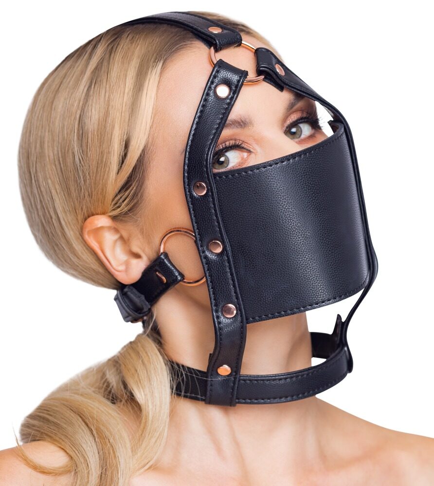 head harness with a gag