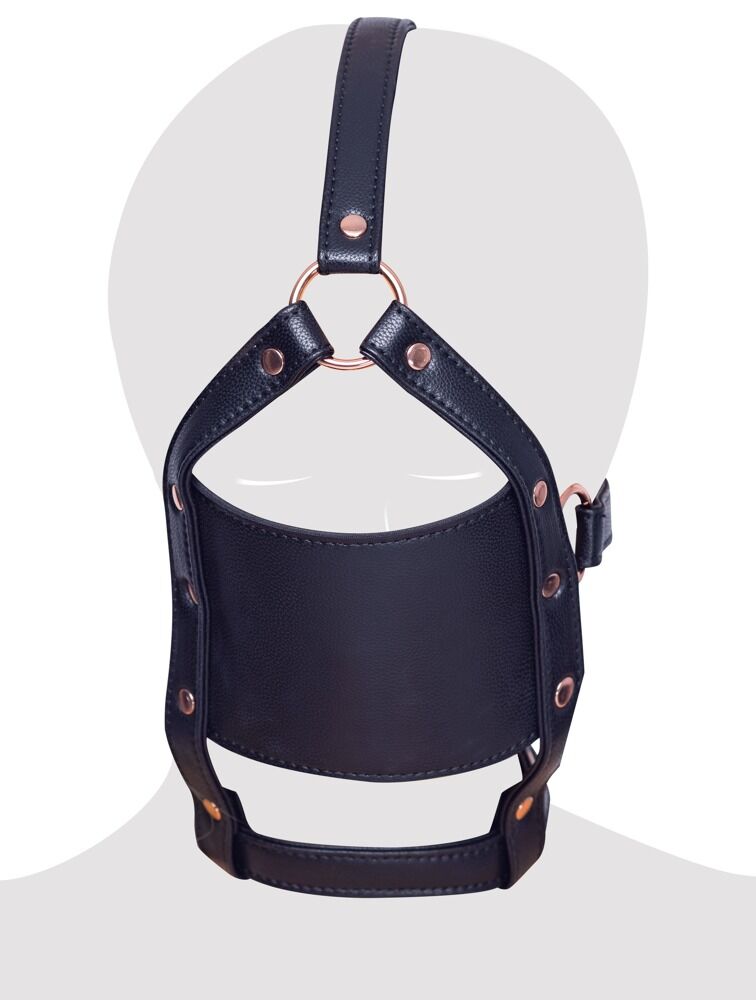 head harness with a gag