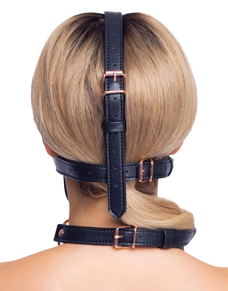 head harness with a gag