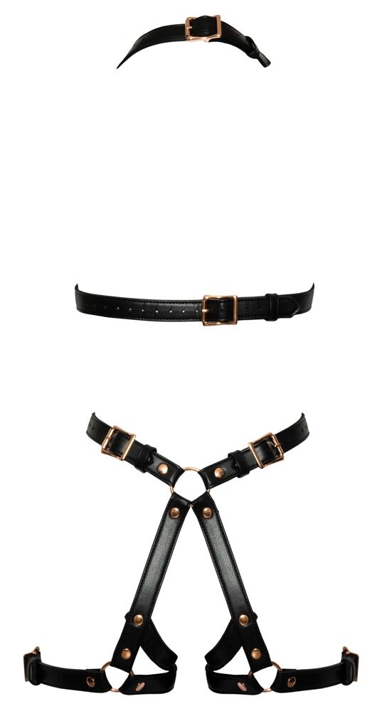 Harness