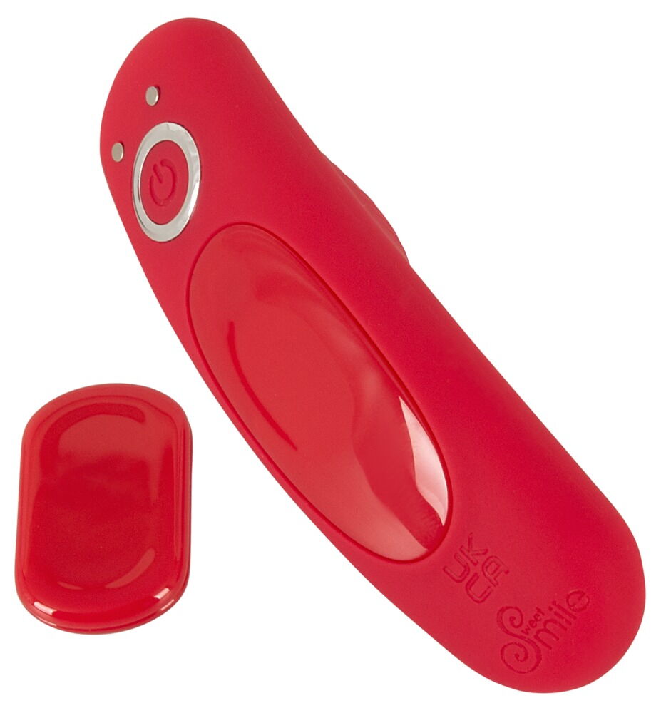 RC Panty VIbrator